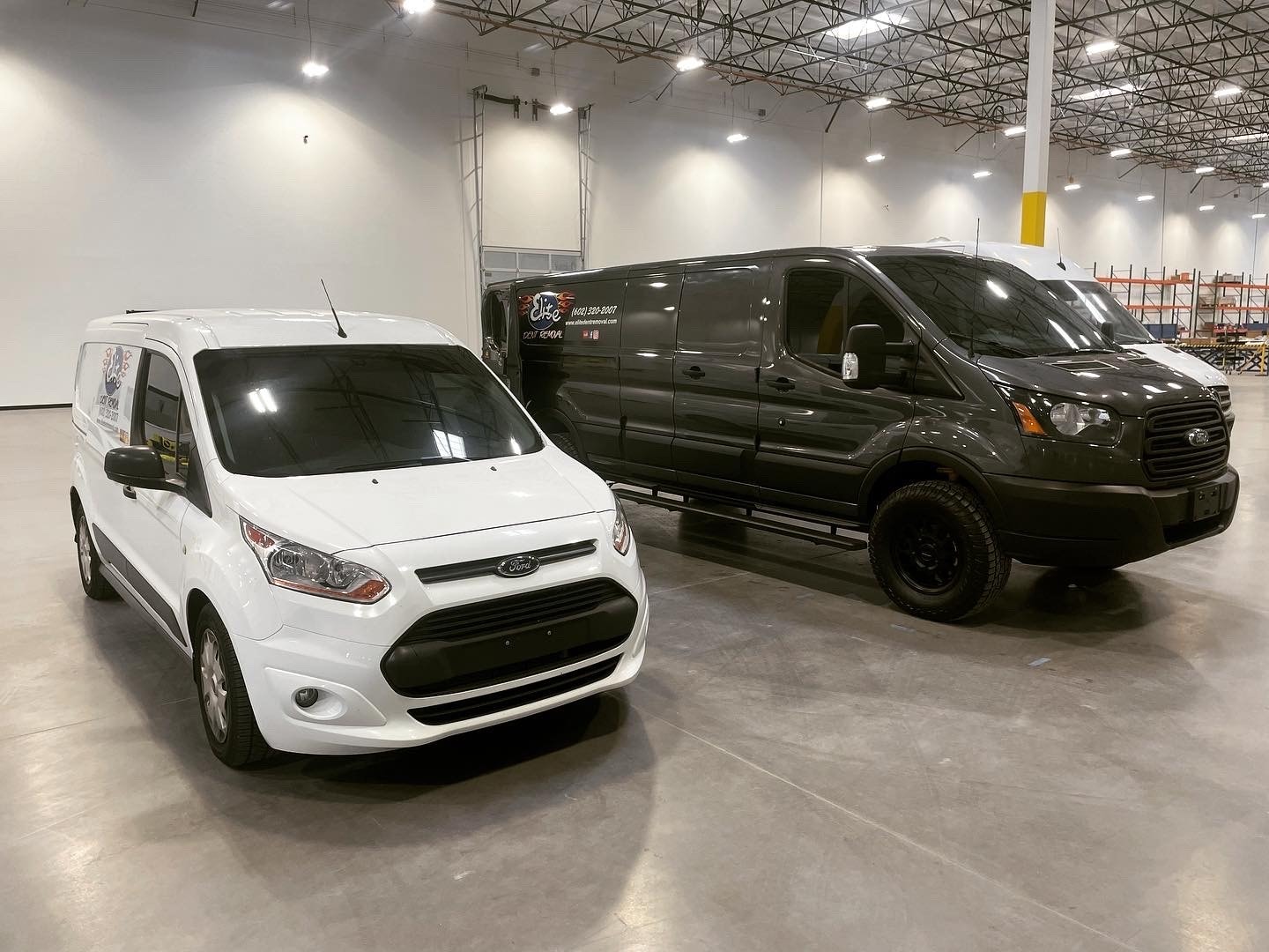 Elite Dent Removal white and dark Ford Transit vans in warehouse